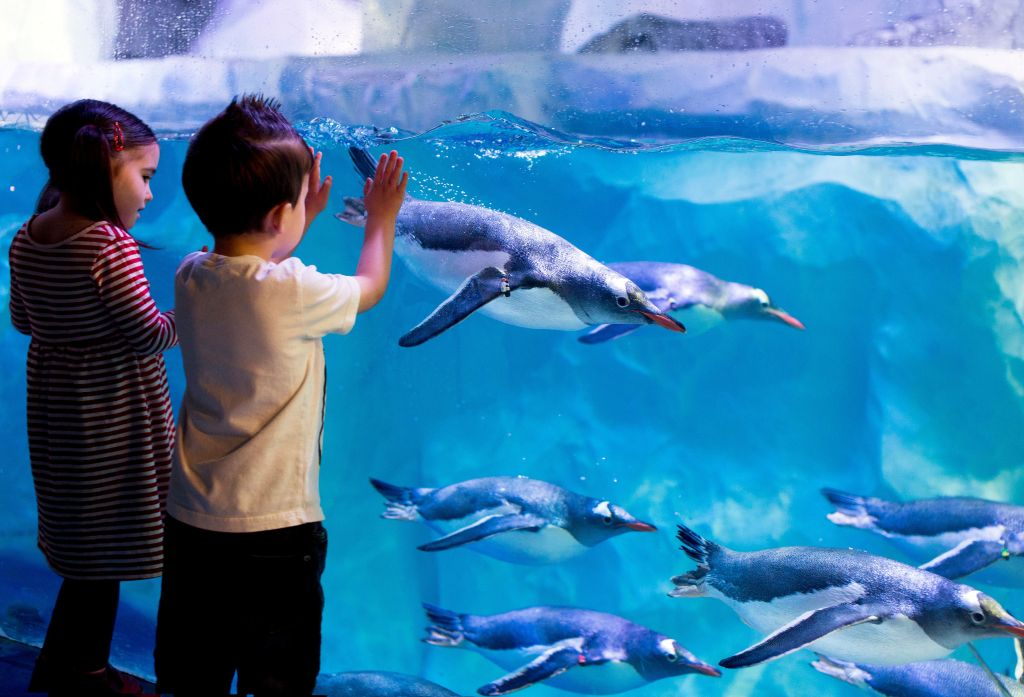 SEA LIFE London: Entry Ticket