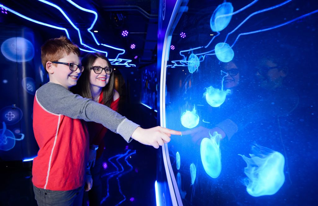SEA LIFE London: Entry Ticket