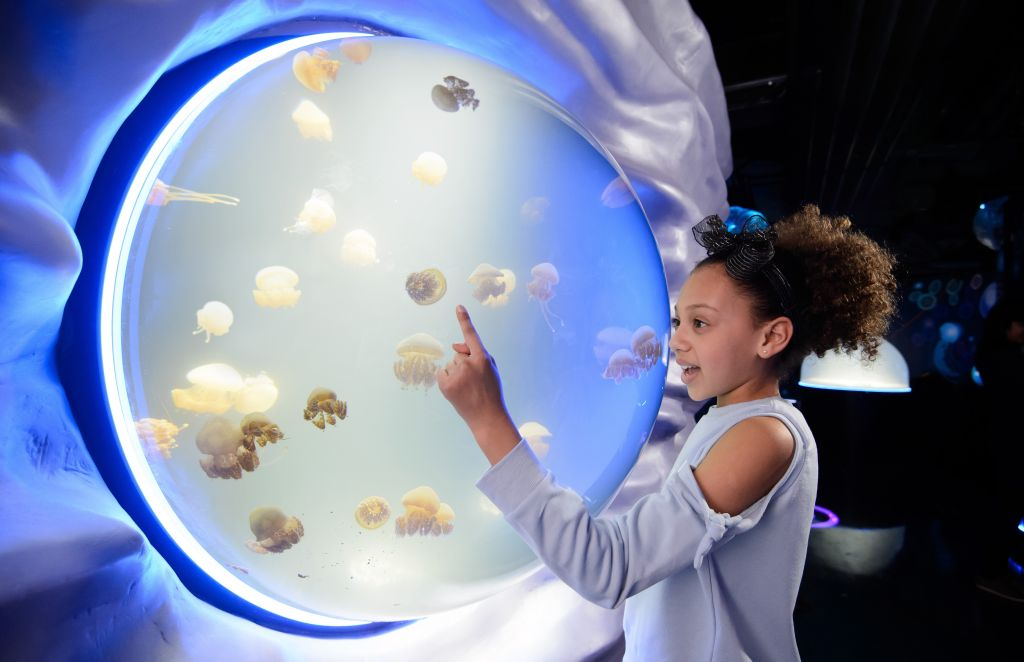 SEA LIFE London: Entry Ticket