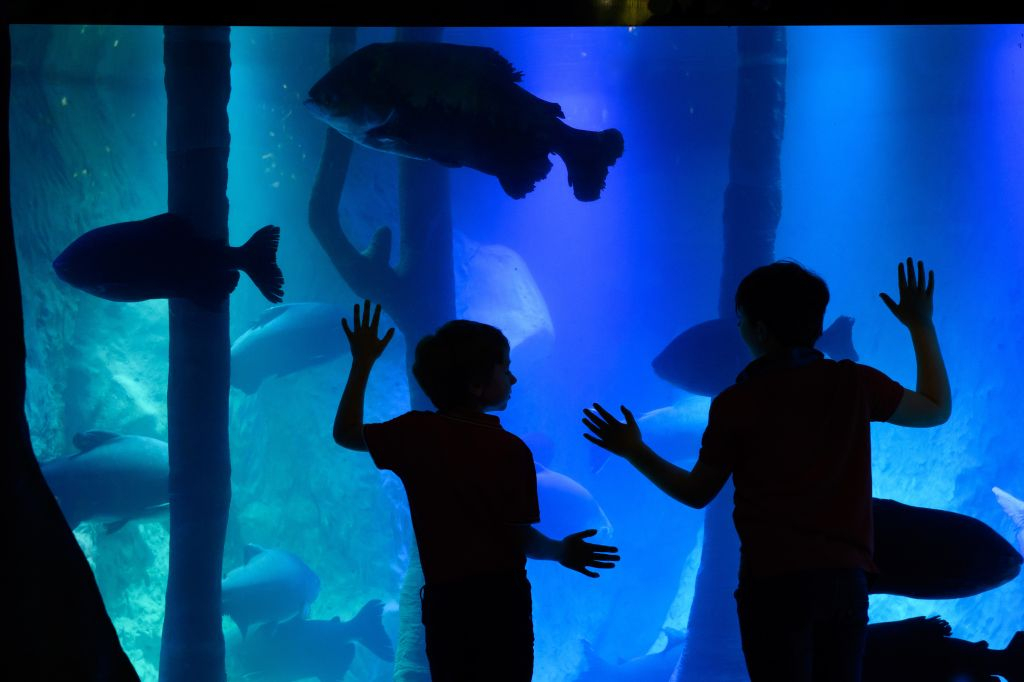 SEA LIFE London: Entry Ticket