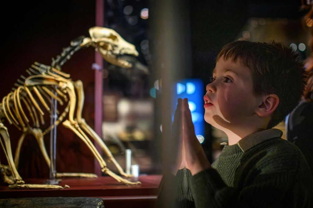 Portsmouth Historic Dockyard: Ultimate Explorer