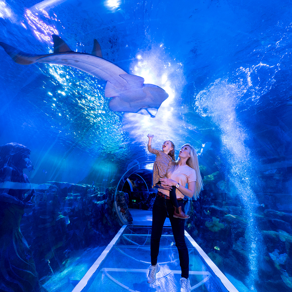 SEA LIFE Birmingham: Bilhete de entrada
