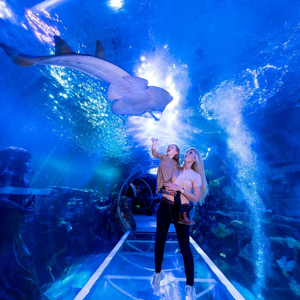 SEA LIFE Birmingham: Entry Ticket