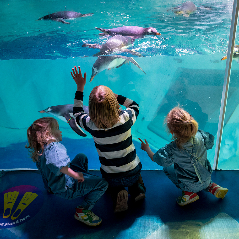 SEA LIFE Birmingham: Bilhete de entrada