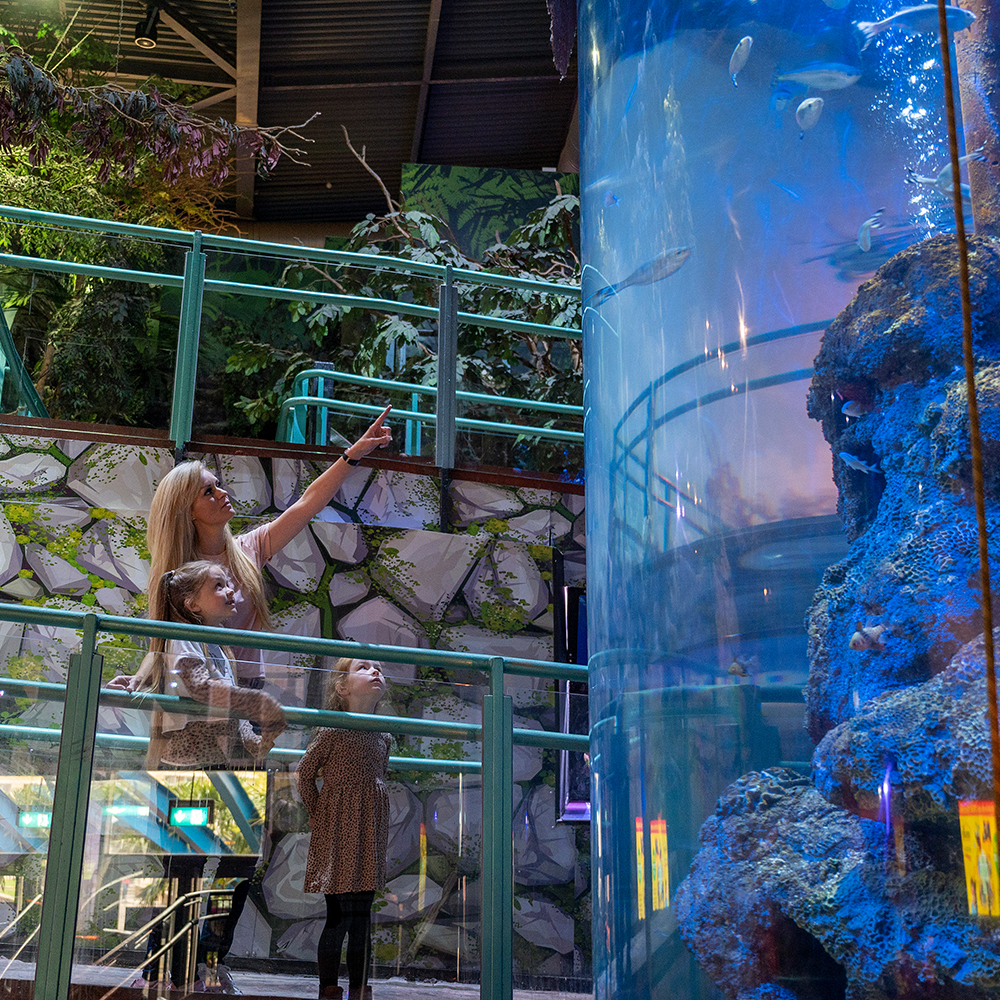 SEA LIFE Birmingham: Bilhete de entrada