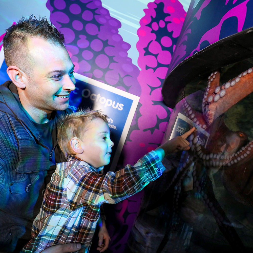 SEA LIFE Birmingham: Bilhete de entrada