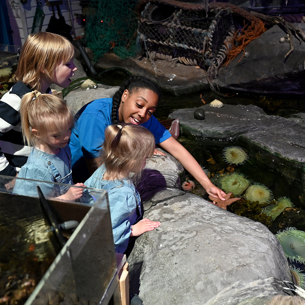 SEA LIFE Birmingham: Bilhete de entrada