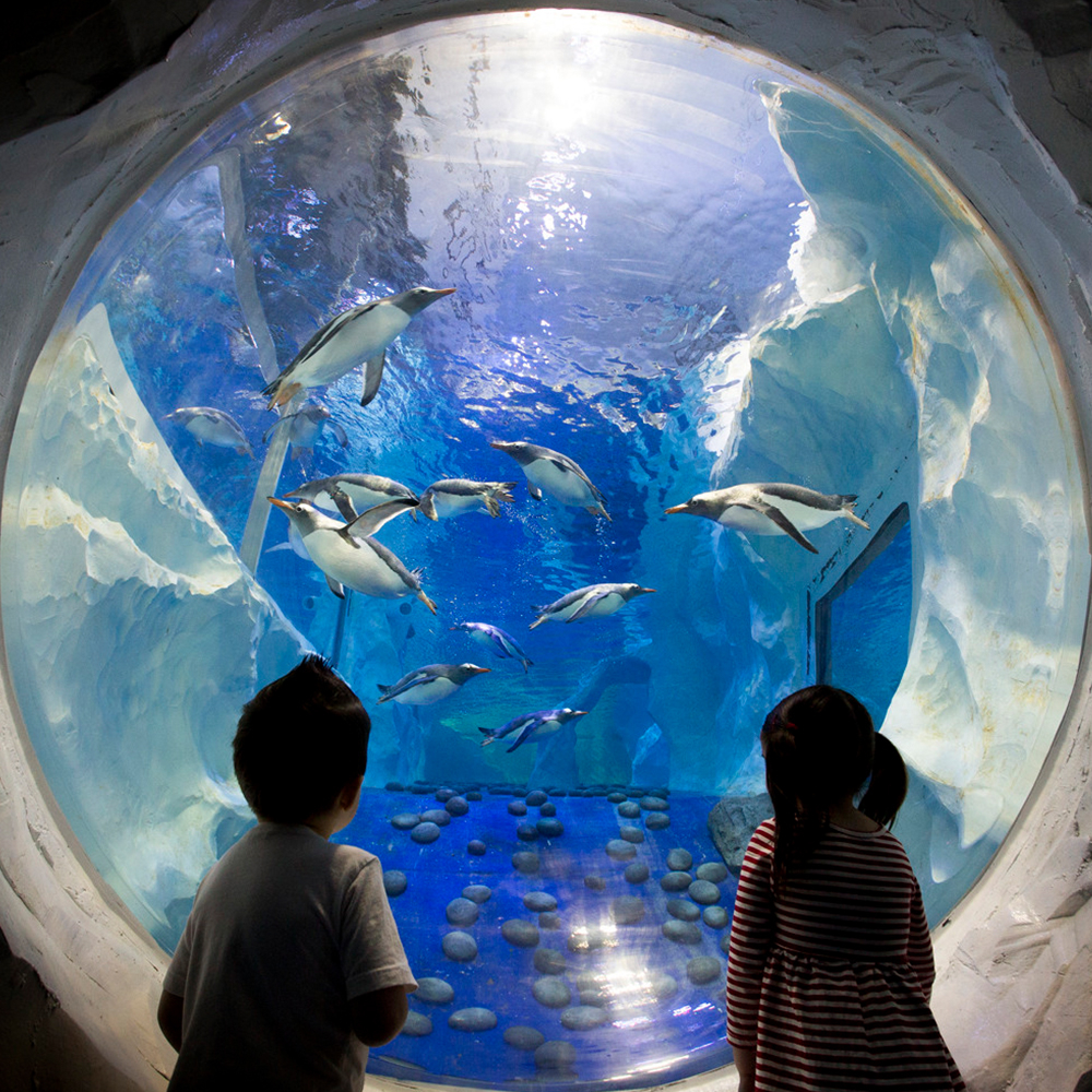 SEA LIFE Birmingham: Bilhete de entrada