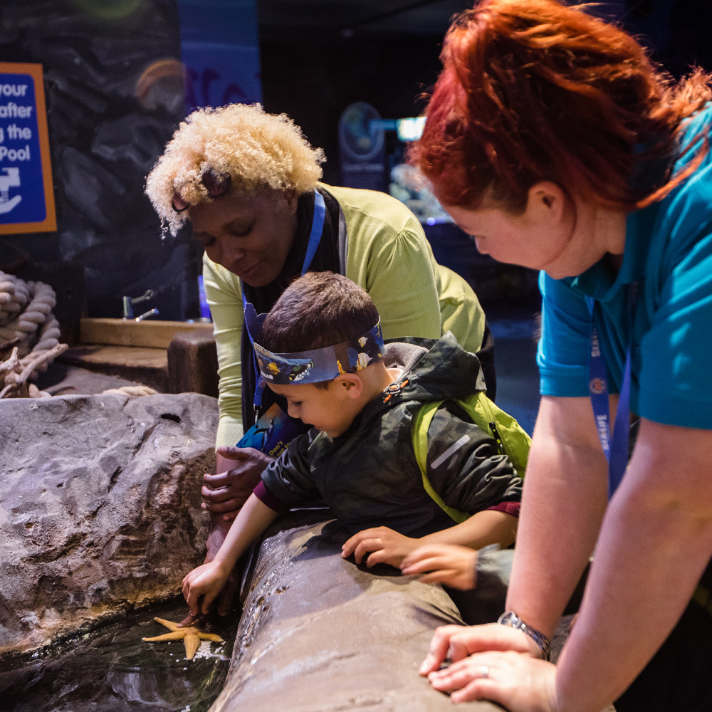 SEA LIFE Birmingham: Bilhete de entrada