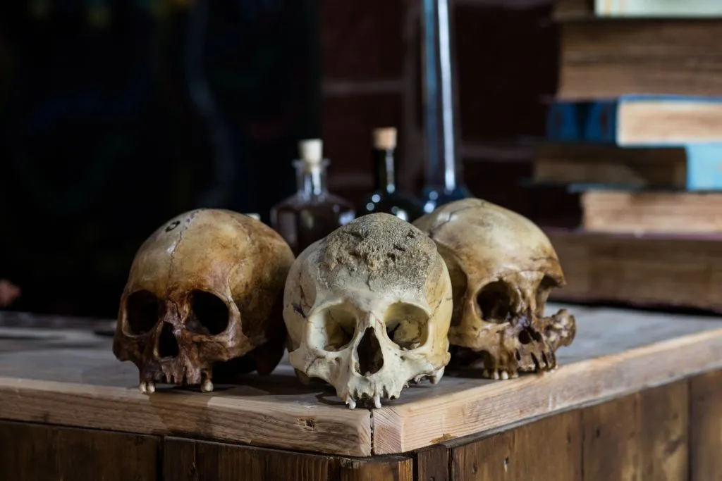 Sick To Death: Entry Ticket