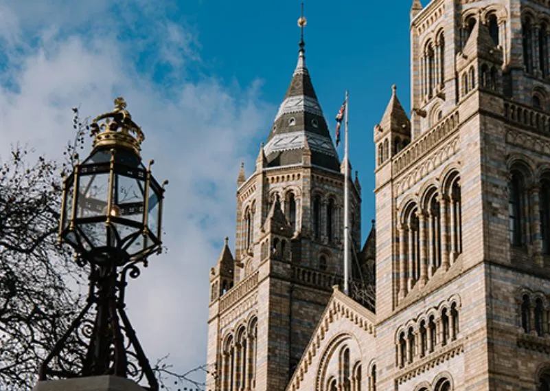 London: Tootbus Hop-on Hop-off Tour + Thames River Cruise