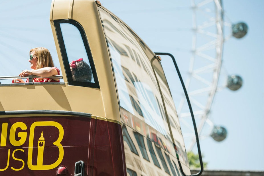 Go City London Explorer Pass: 2 to 7 Attractions in 60 days