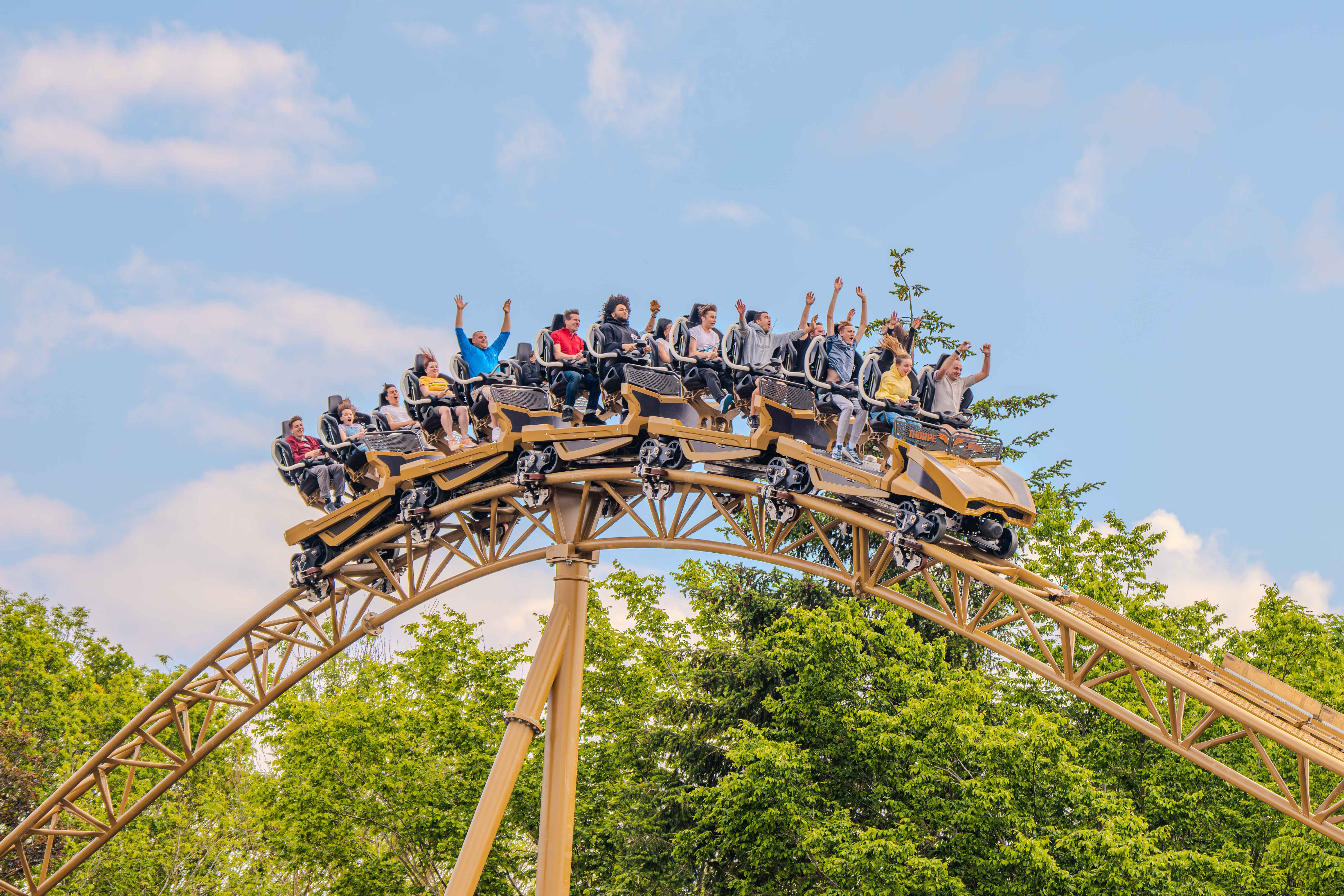 Thorpe Park: Billet d'entrée