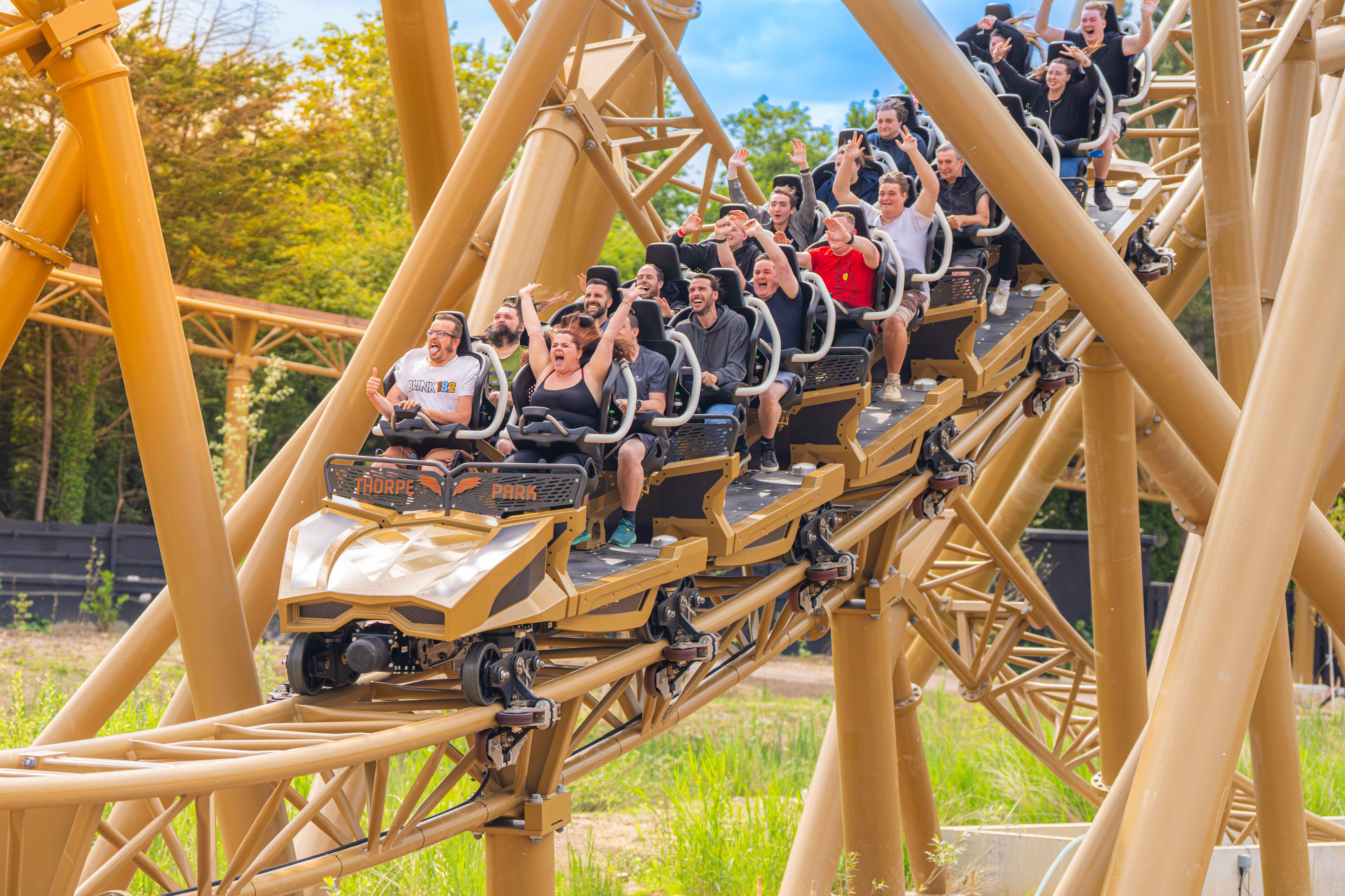 Thorpe Park: Billet d'entrée