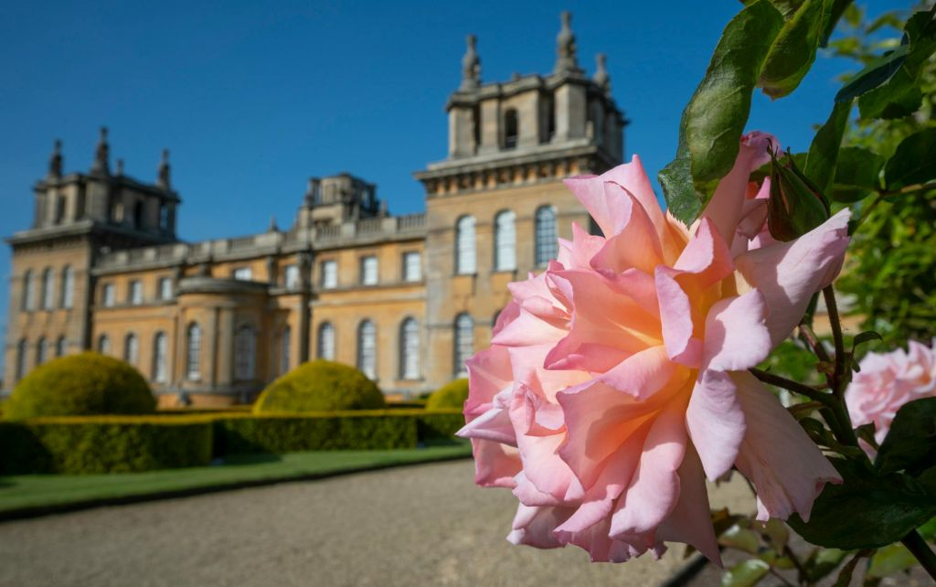 Blenheim Palace: Entry Ticket
