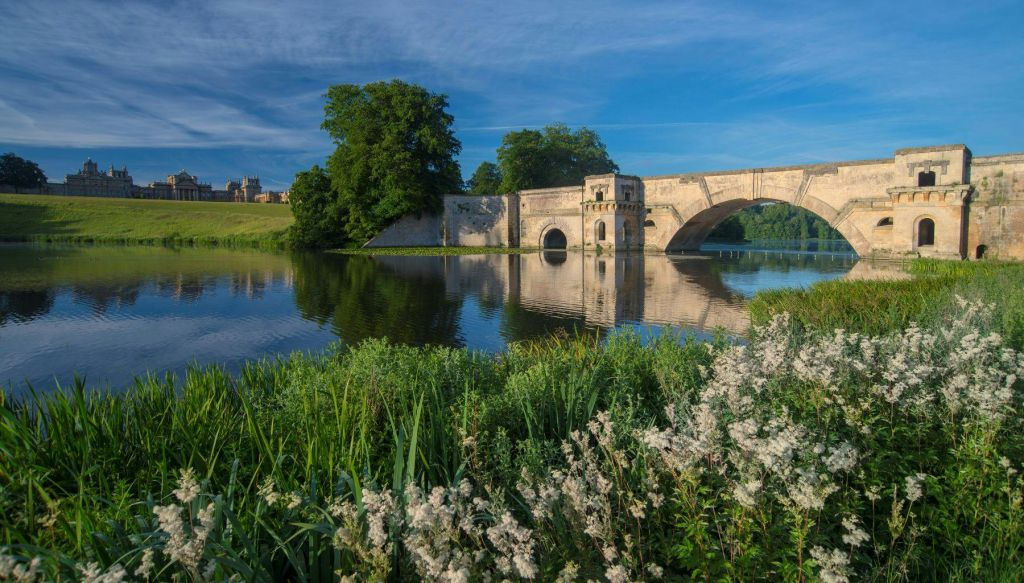 Blenheim Palace: Entry Ticket