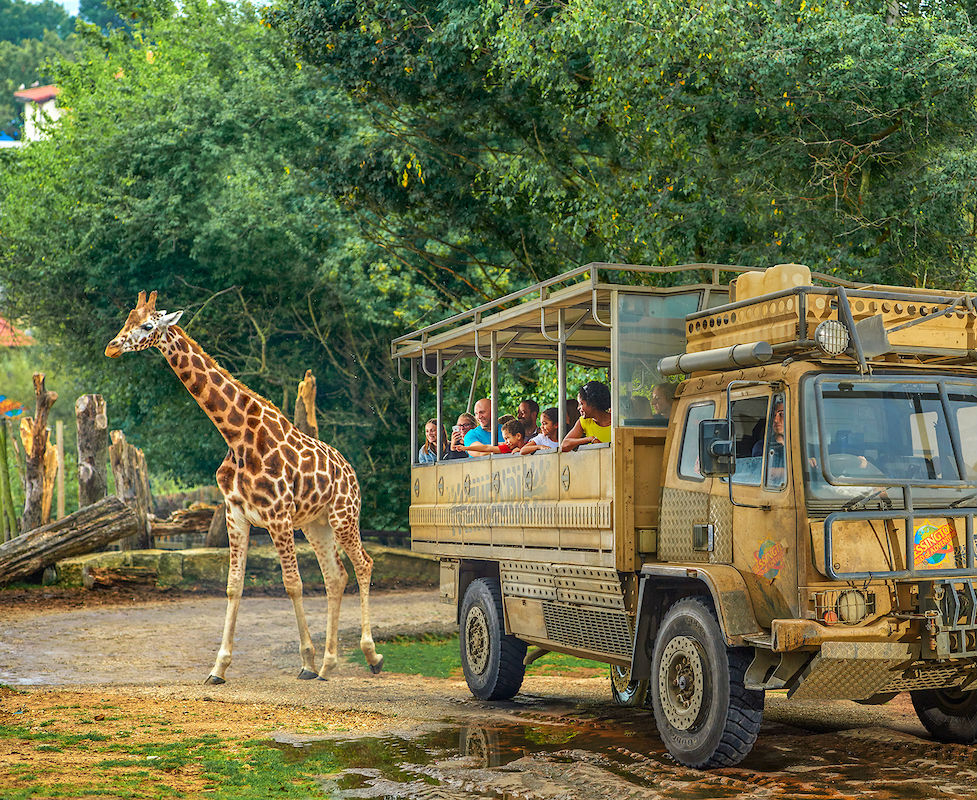Chessington World of Adventures: Bilhete de entrada