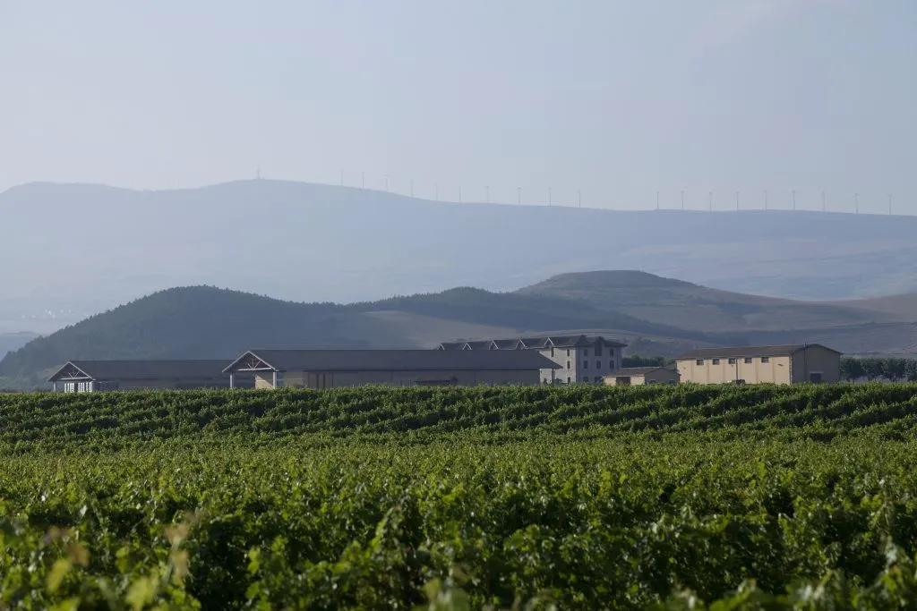 Bodega Otazu 