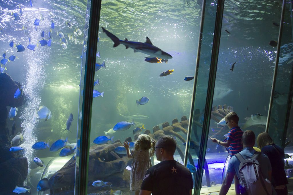 SEA LIFE Hunstanton: Entry Ticket