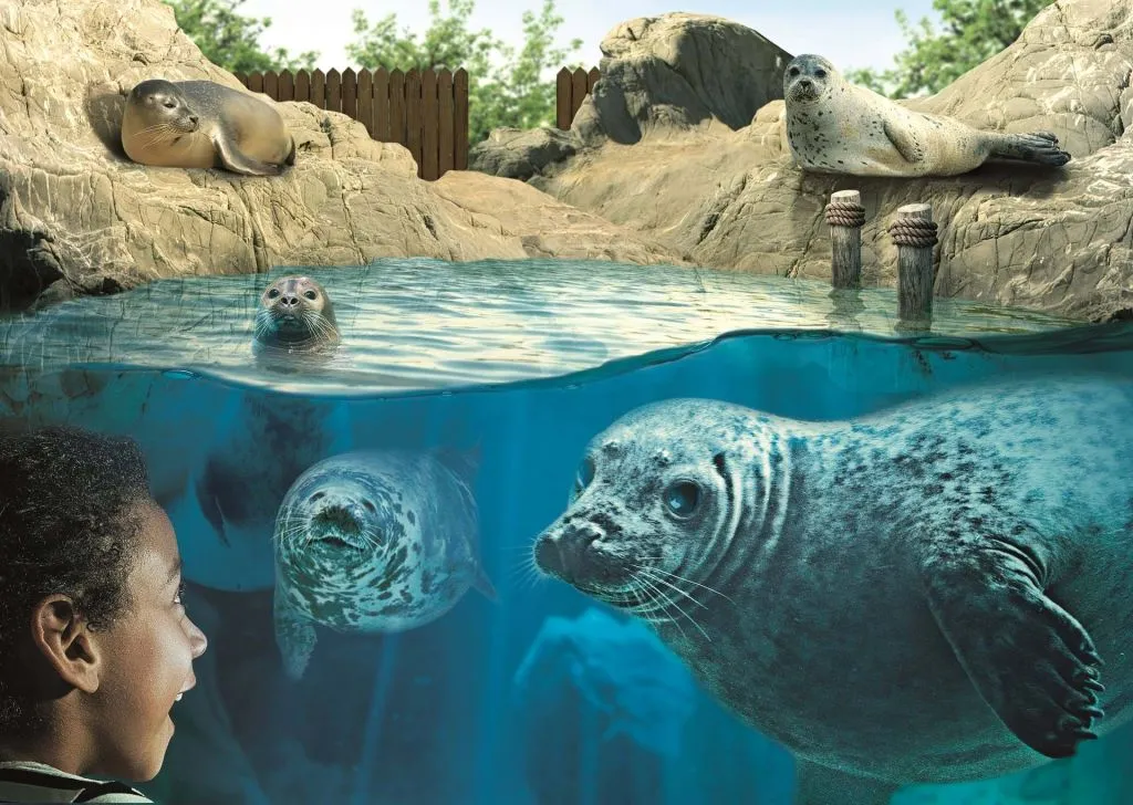 SEA LIFE Hunstanton: Entry Ticket