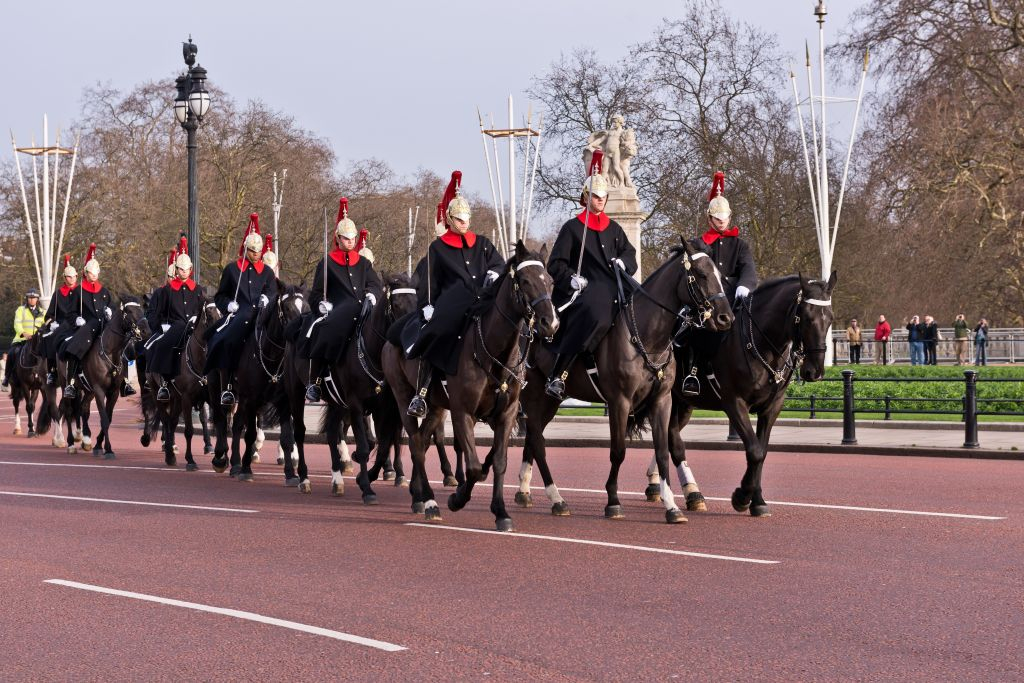 Changing of the Guard: Guided Tour