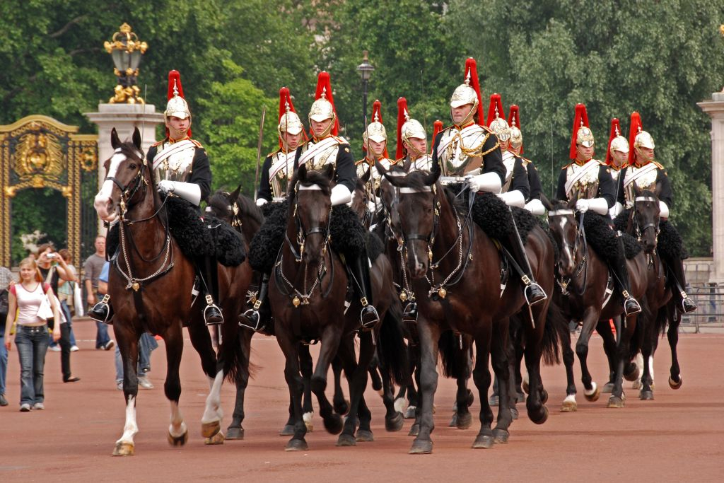 Changing of the Guard: Guided Tour