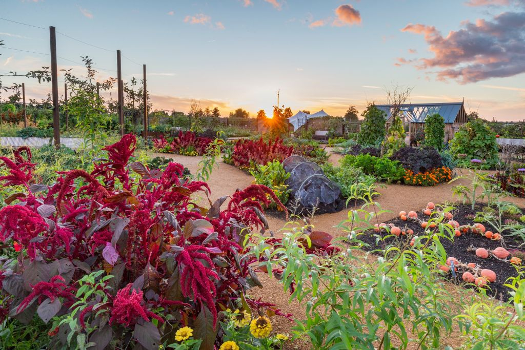 RHS Garden Wisley: Entry Ticket