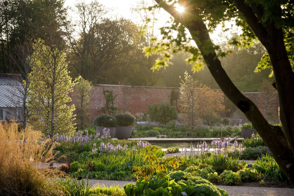 RHS Garden Bridgewater: Entry Ticket