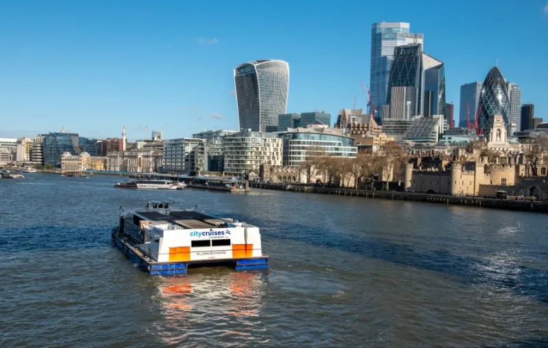 London: 24-Hour Hop-on Hop-off City Cruise
