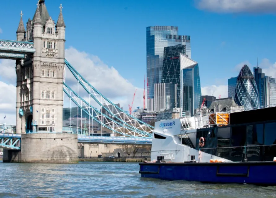 London: 24-Hour Hop-on Hop-off City Cruise