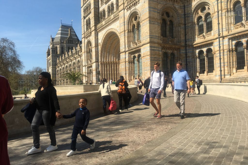 Musée d'histoire naturelle: Visite guidée