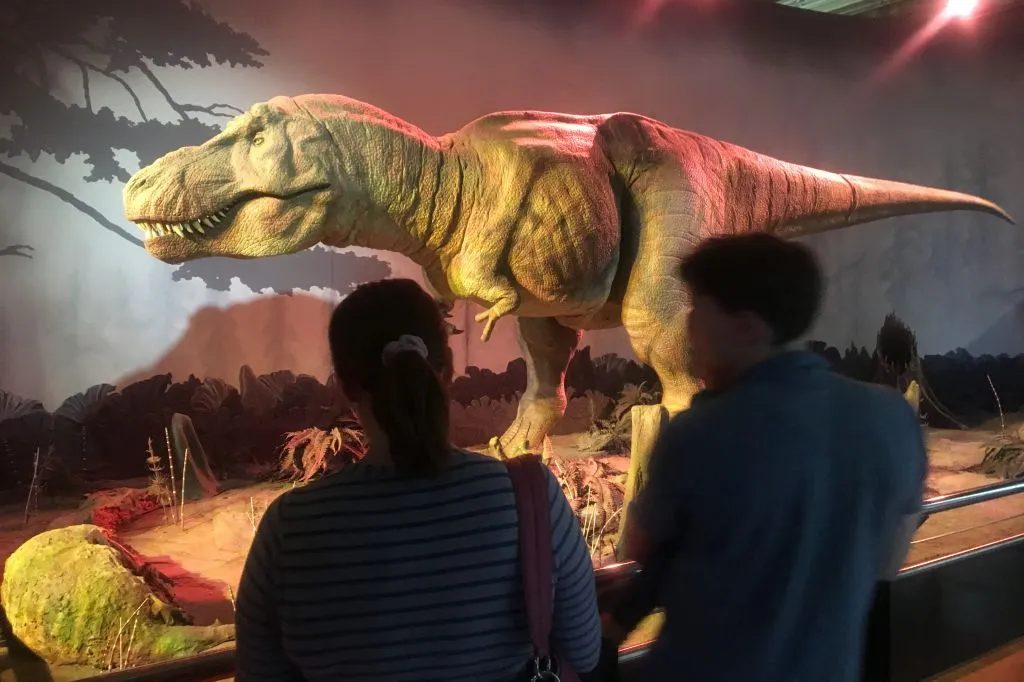 Natural History Museum: Guided Tour
