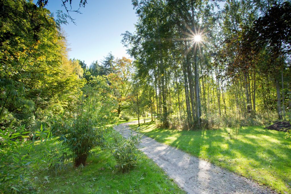 RHS Garden Harlow Carr: Entry Ticket
