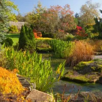 RHS Garden Harlow Carr: Entry Ticket