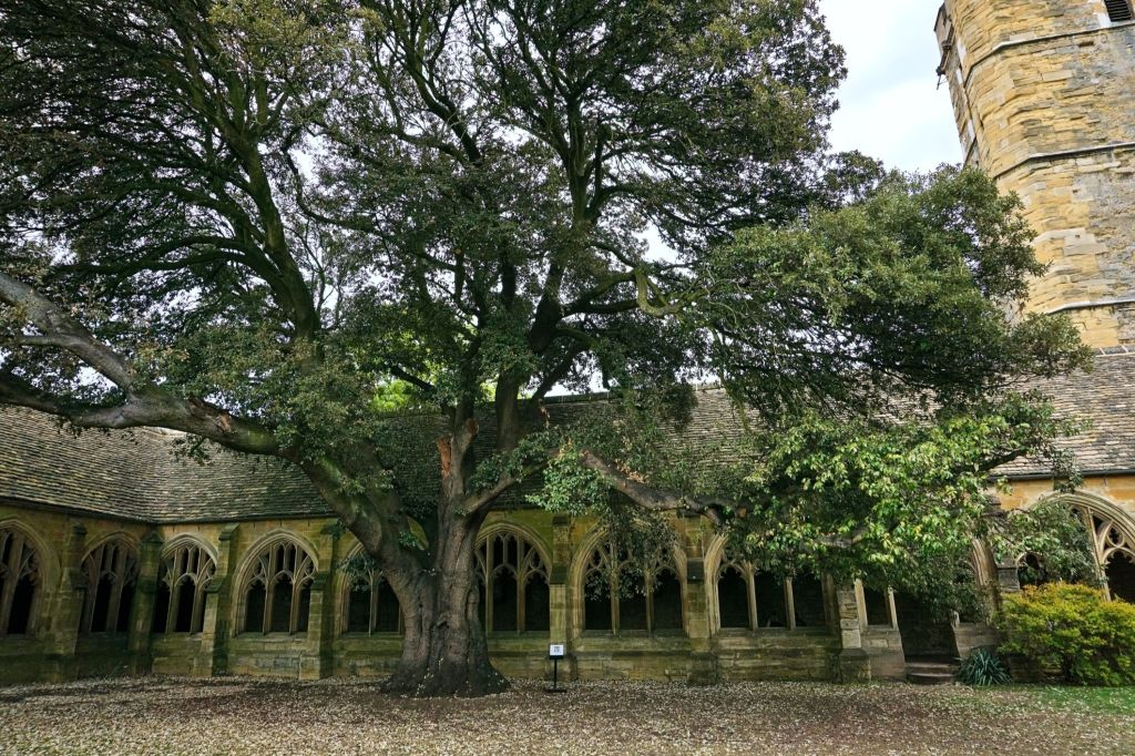 Visite guidée des lieux de tournage de Harry Potter à Oxford