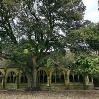 Oxford Harry Potter Film Locations Walking Tour