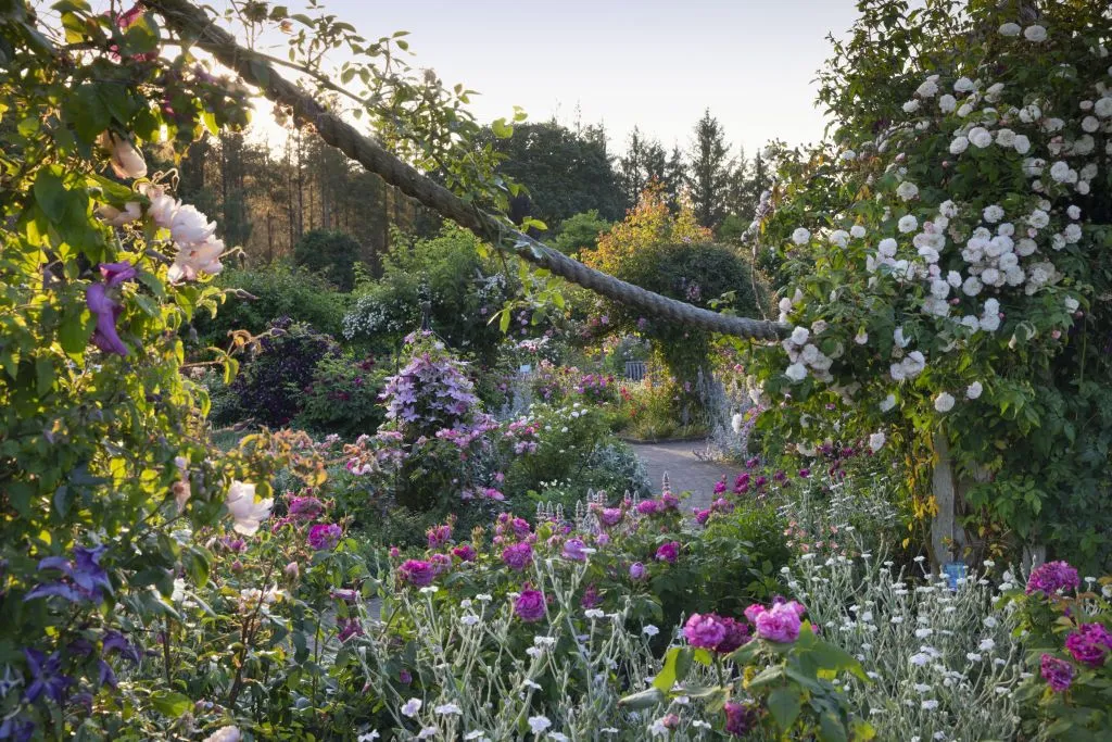 RHS Garden Rosemoor: Entry Ticket