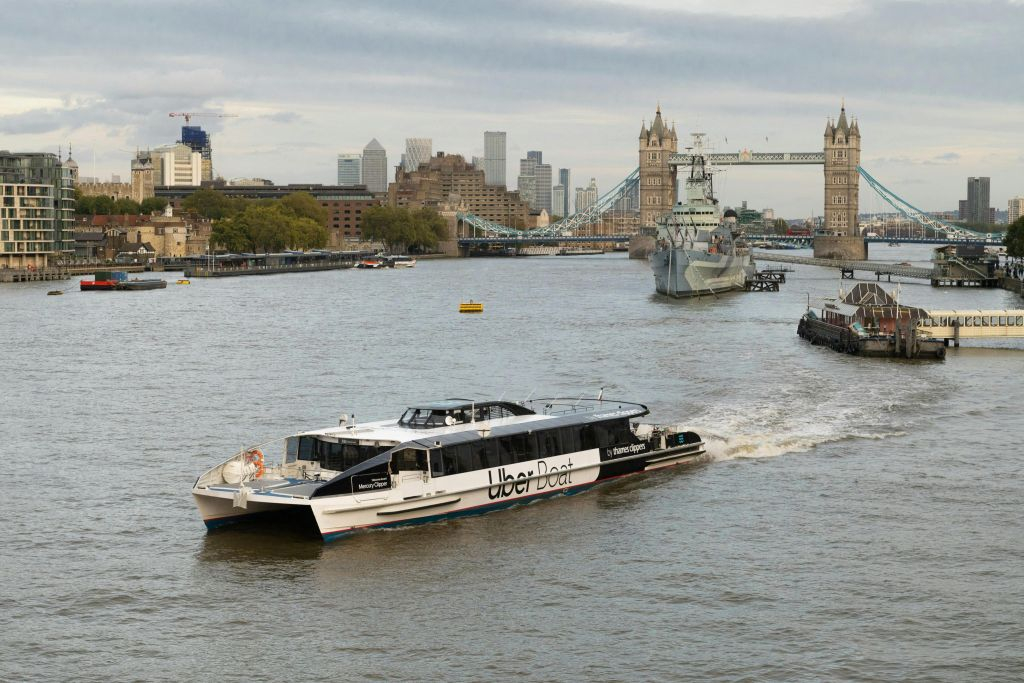 London: All Day Hop-on Hop-off River Roamer