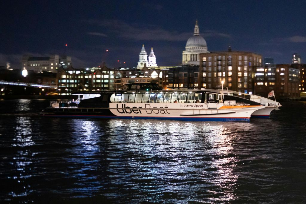 London: All Day Hop-on Hop-off River Roamer