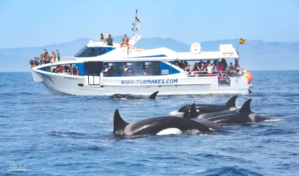 Excursiones desde el Puerto de O Grove