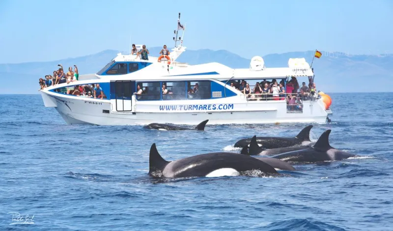 Excursiones desde el Puerto de O Grove 