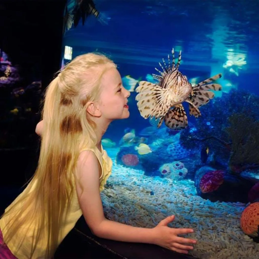 SEA LIFE Manchester: Entry Ticket