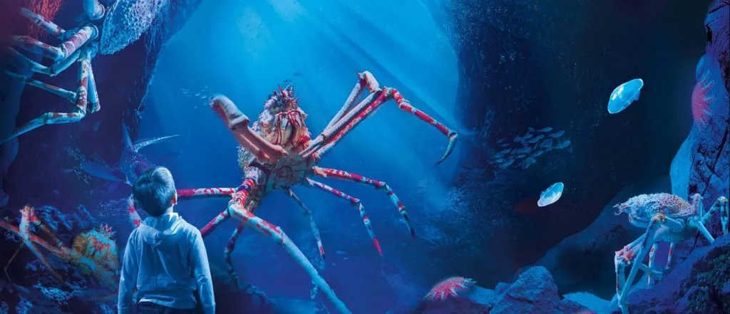 SEA LIFE Manchester: Entry Ticket
