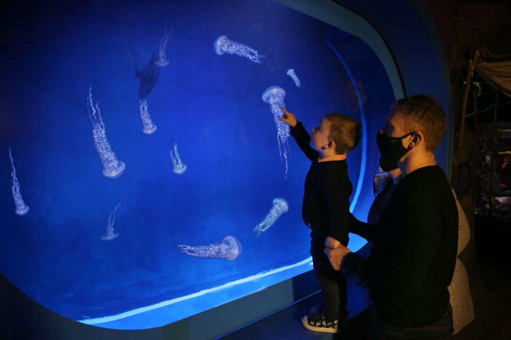 SEA LIFE Manchester: Bilhete de entrada