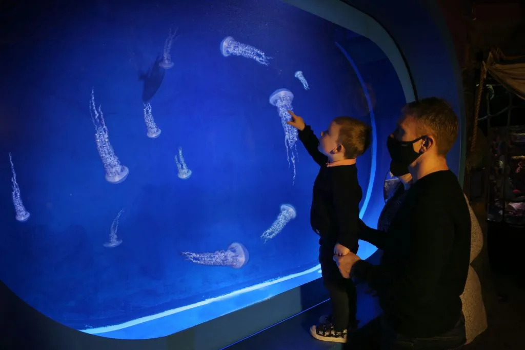 SEA LIFE Manchester: Entry Ticket