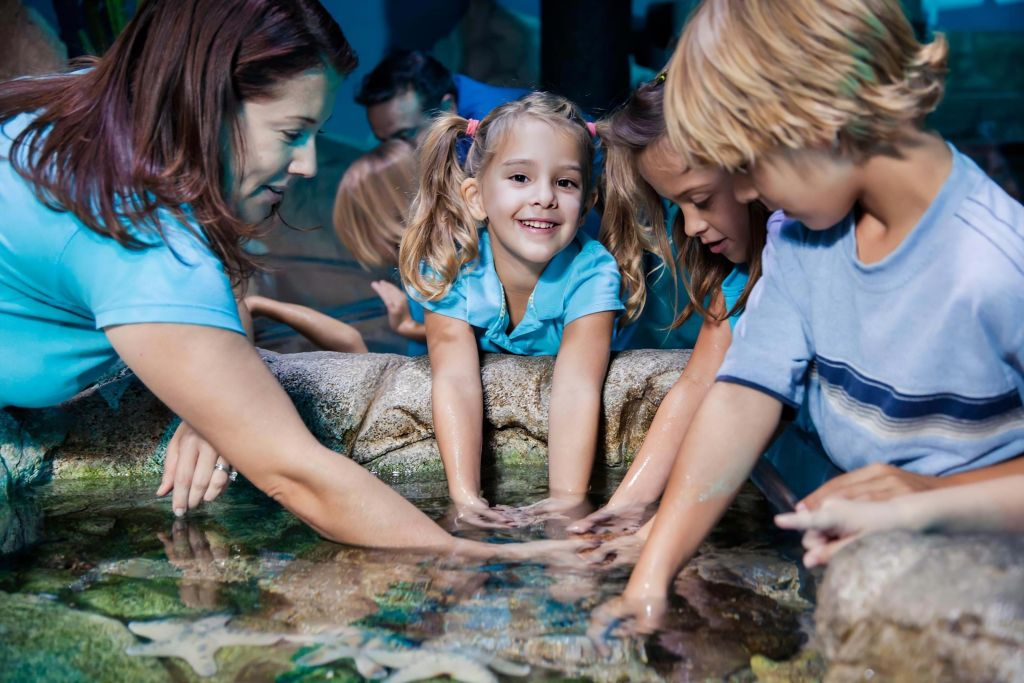 SEA LIFE Manchester: Biglietto d'ingresso