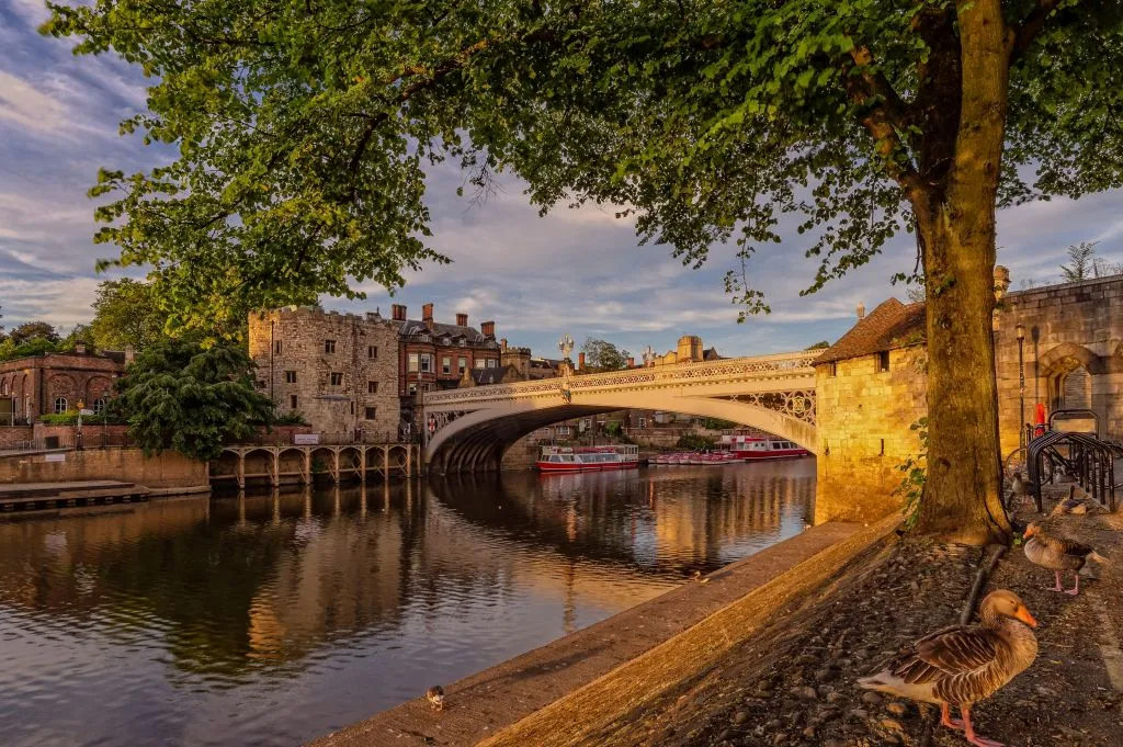 York Floodlit Evening Cruise