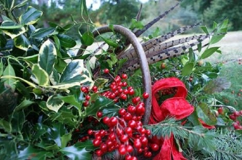 Hillsborough Castle: Garden Entry + Optional Castle Entry
