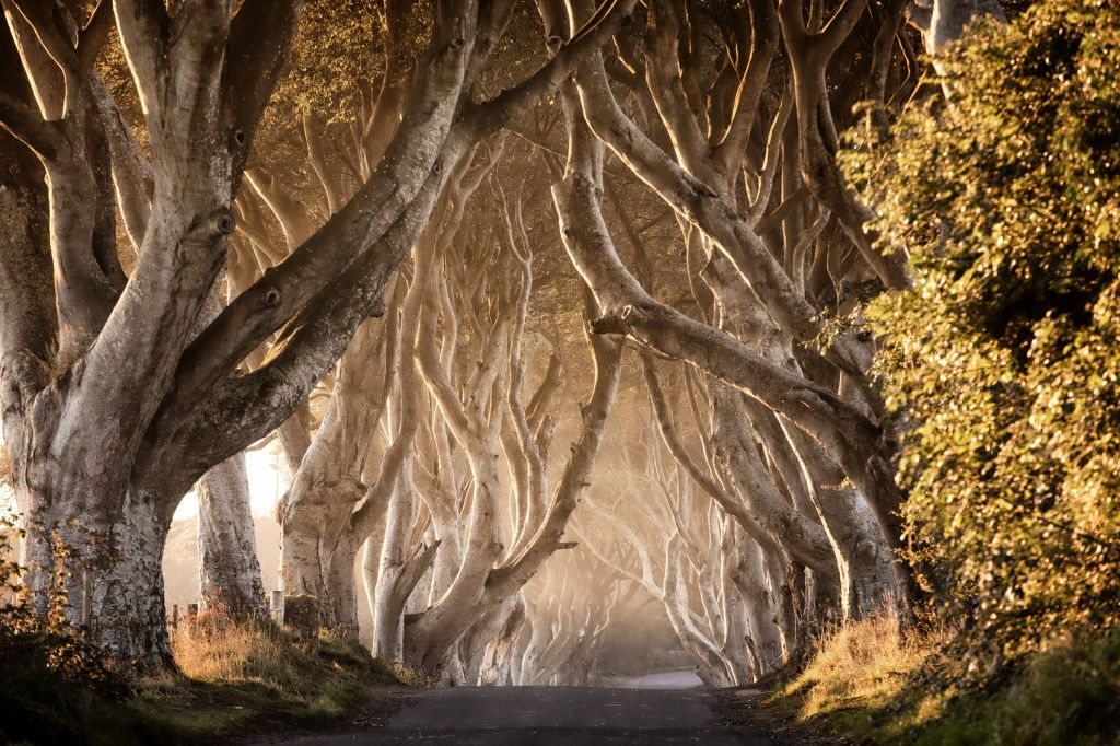 Tour delle Giant's Causeway + tour dei luoghi delle riprese di Game of Thrones da Belfast