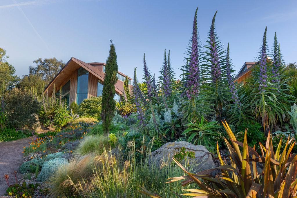 RHS Garden Hyde Hall: Biglietto d'ingresso